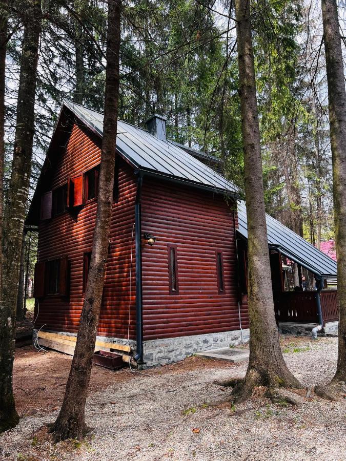 Cabana Adrienne Izvoru Mureşului Exterior foto