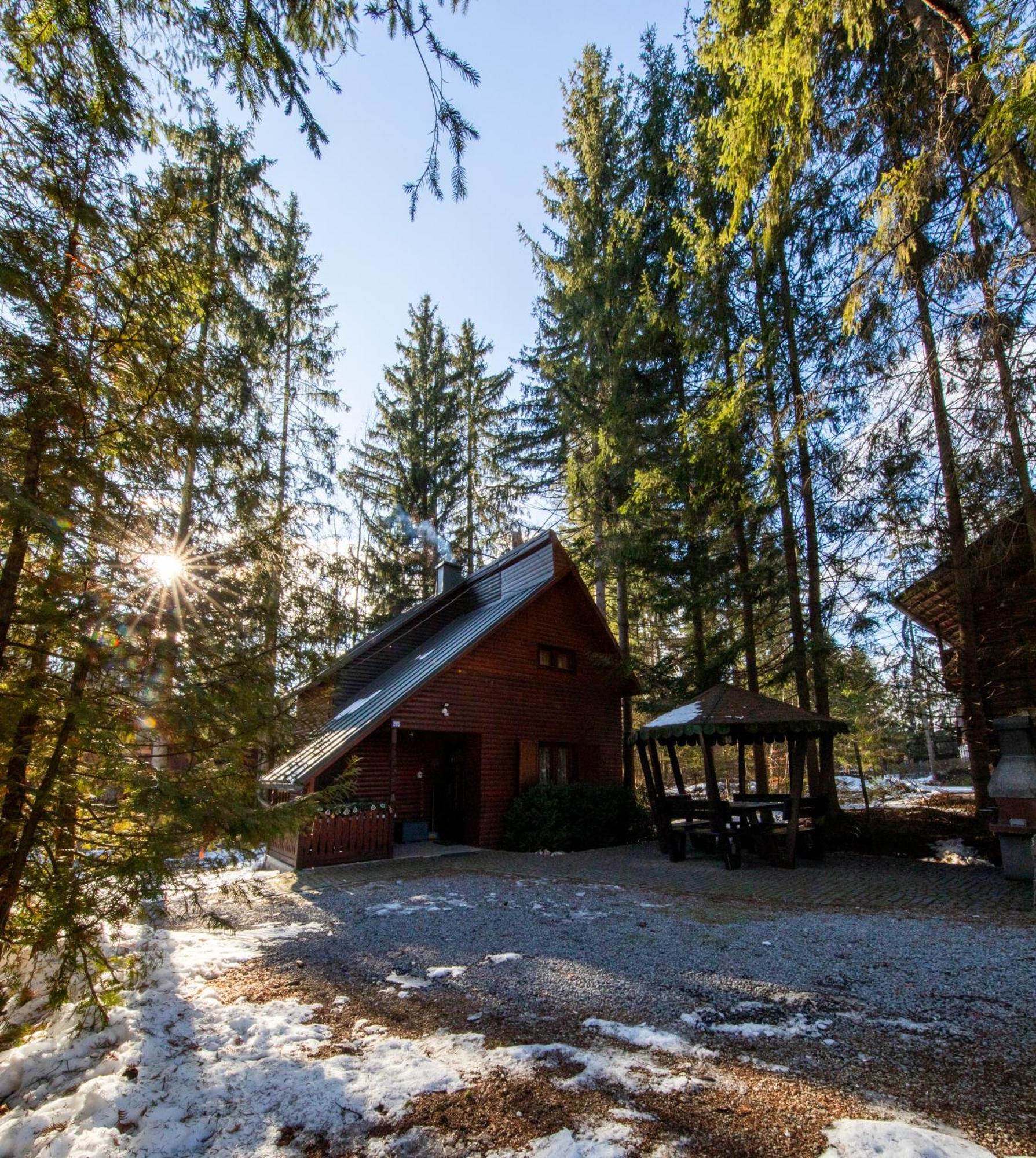 Cabana Adrienne Izvoru Mureşului Exterior foto